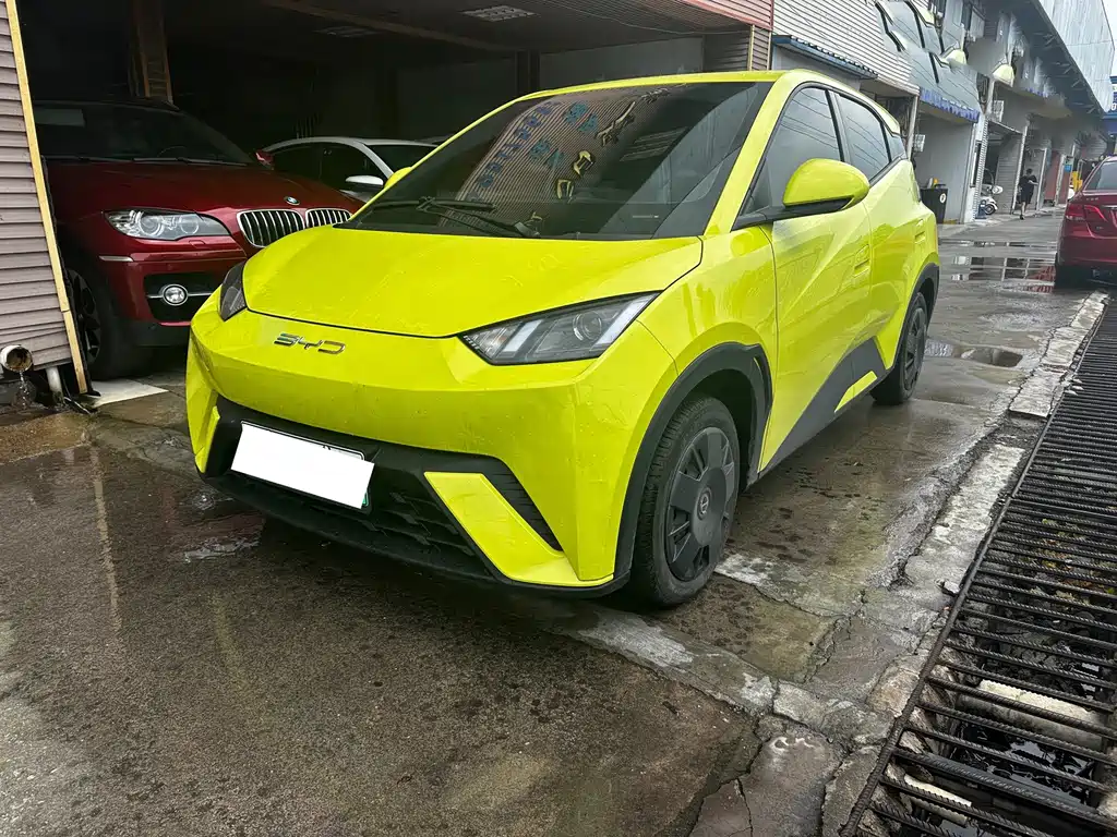 BYD Seagull 2024