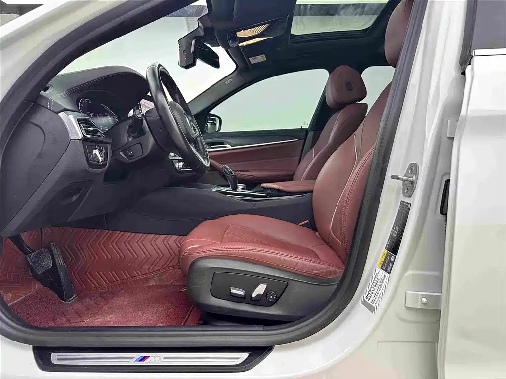 BMW 5 Series New Energy 2021
