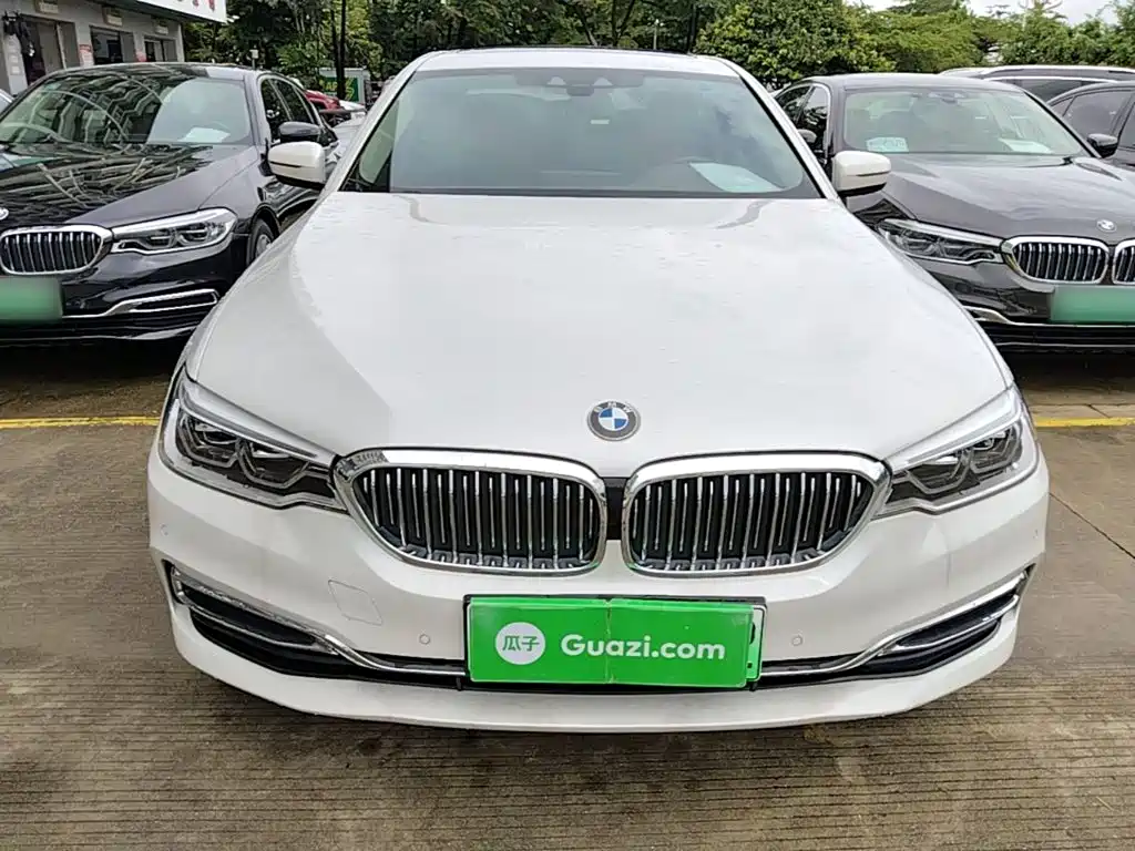 BMW 5 Series New Energy 2020