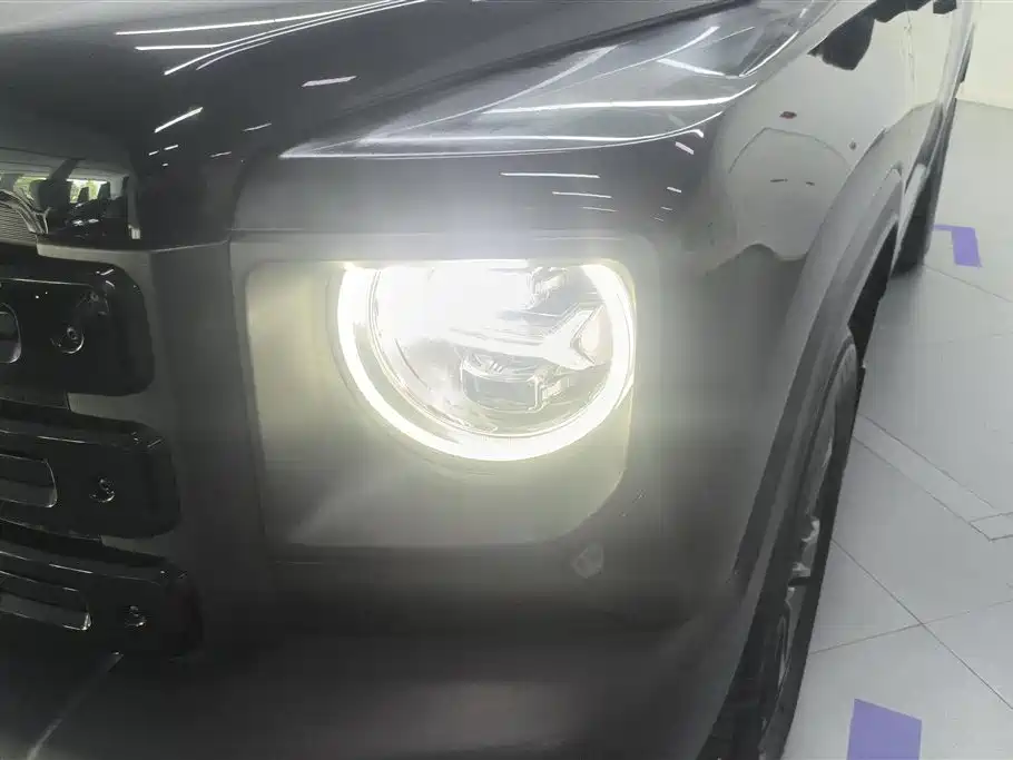 Haval Menglong New Energy 2024