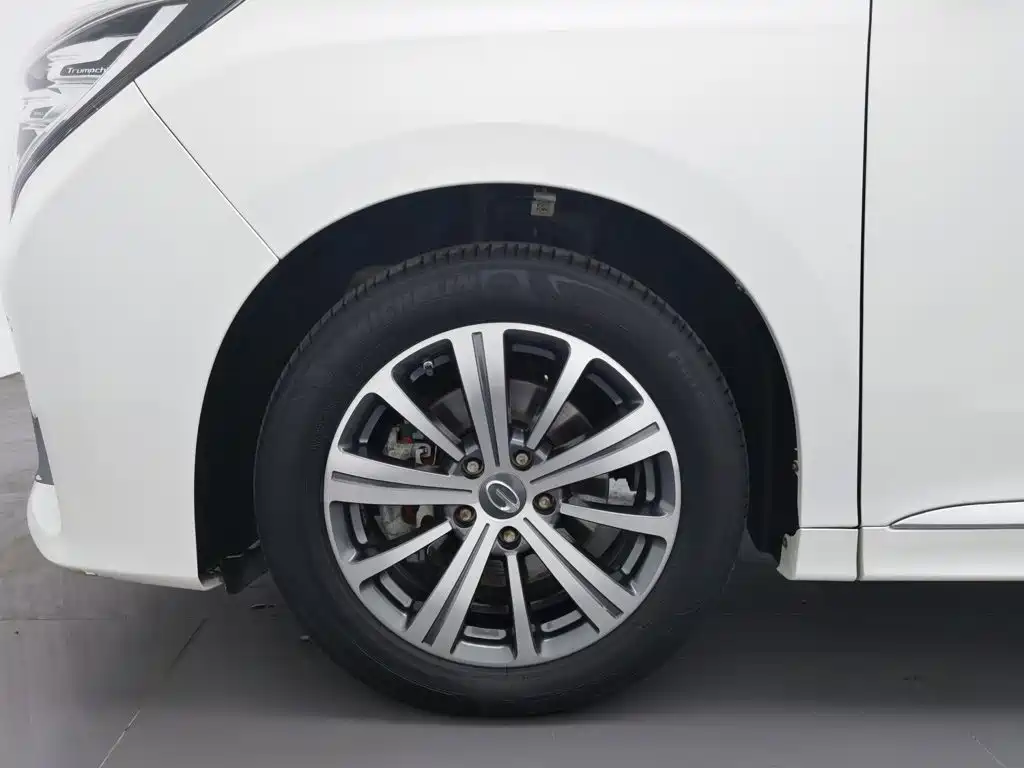 GAC Trumpchi M8 2020 — фото 17