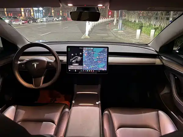 Tesla Model 3 2021