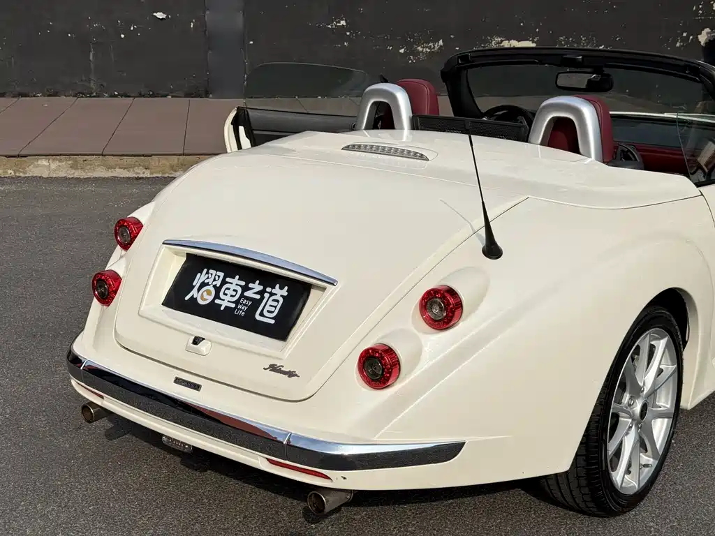 Mitsuoka Queen 2012 — фото 19