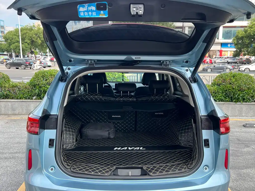 Haval H6 New Energy 2023 — фото 22