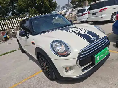 MINI MINI 2017