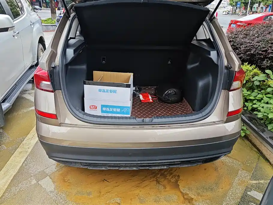 Skoda Kamiq 2018