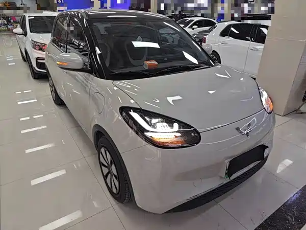 Wuling Bingo 2024