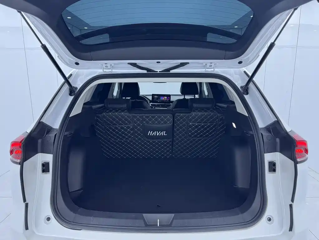 Haval H6 2023 — фото 15