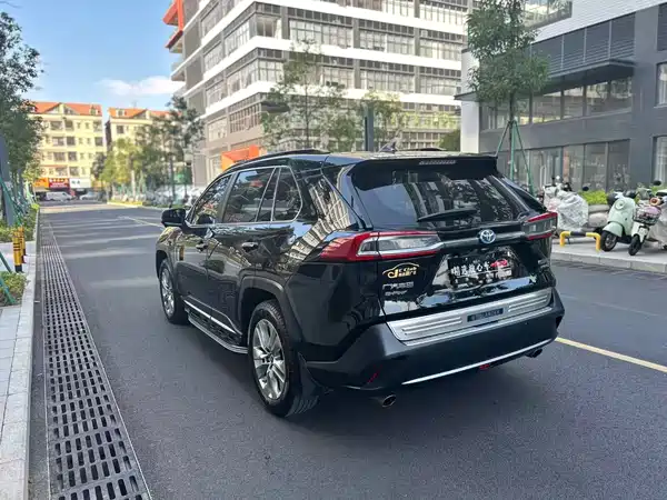 Toyota Wildlander 2020