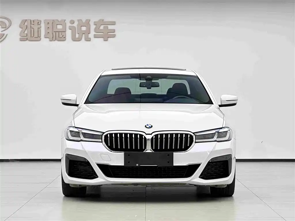 BMW 5 Series New Energy 2021