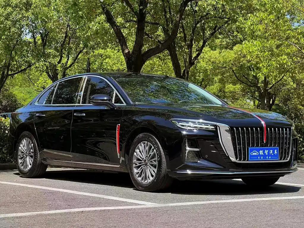 Hongqi H5 2024 — фото 3
