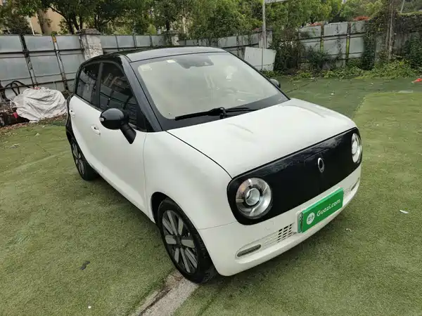 Ora Black Cat 2021