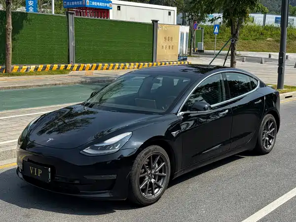 Tesla Model 3 2019