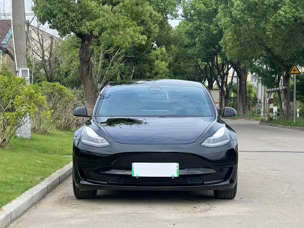 Tesla Model 3 2020 — фото 2