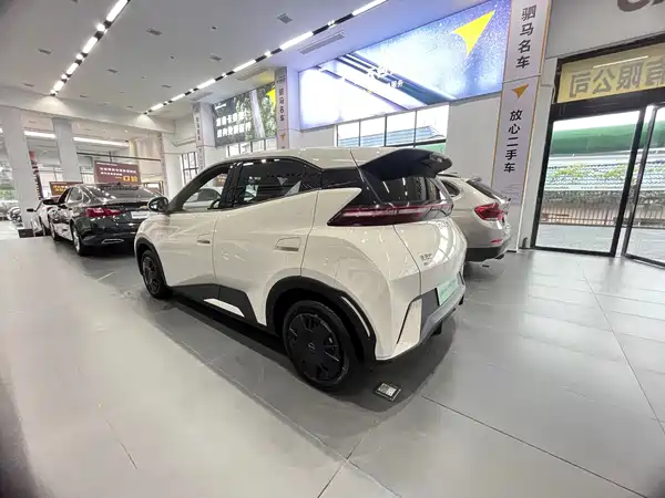 BYD Seagull 2024