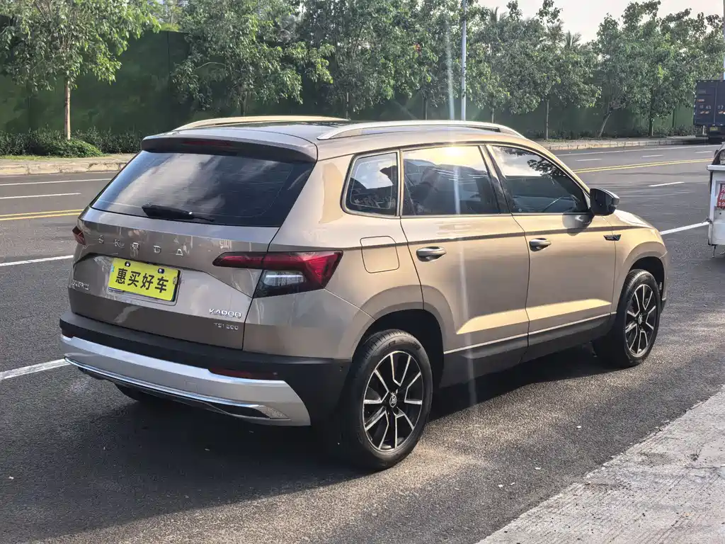Skoda Karoq 2020 — фото 12