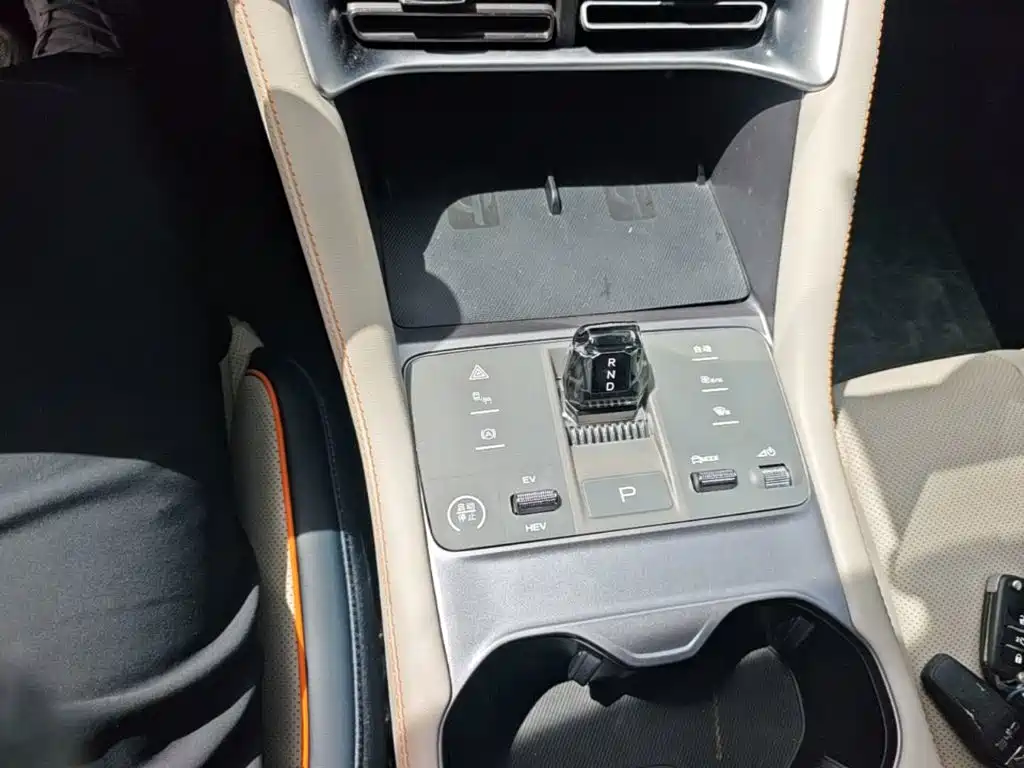 BYD Song PLUS New Energy 2024 — фото 10