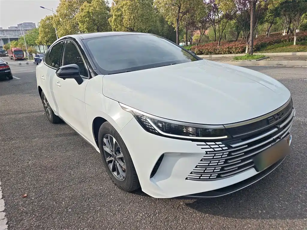 BYD Destroyer 05 2024 — фото 4