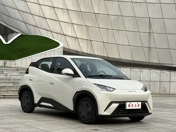 BYD Seagull 2025