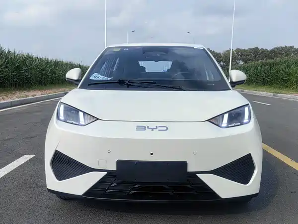 BYD Seagull 2025