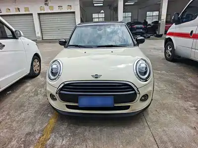 MINI MINI 2020