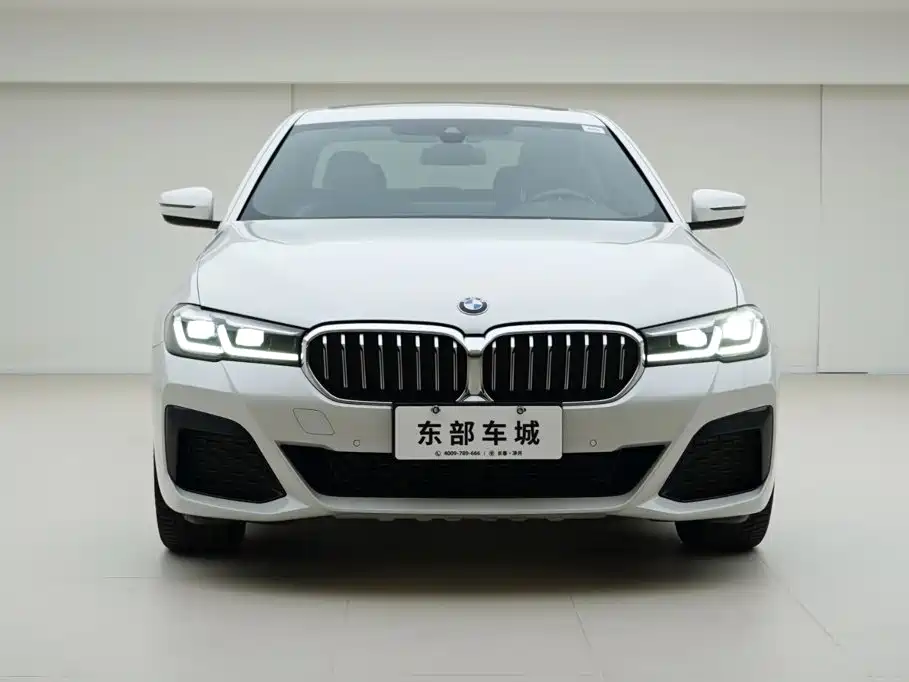 BMW 5 Series 2021