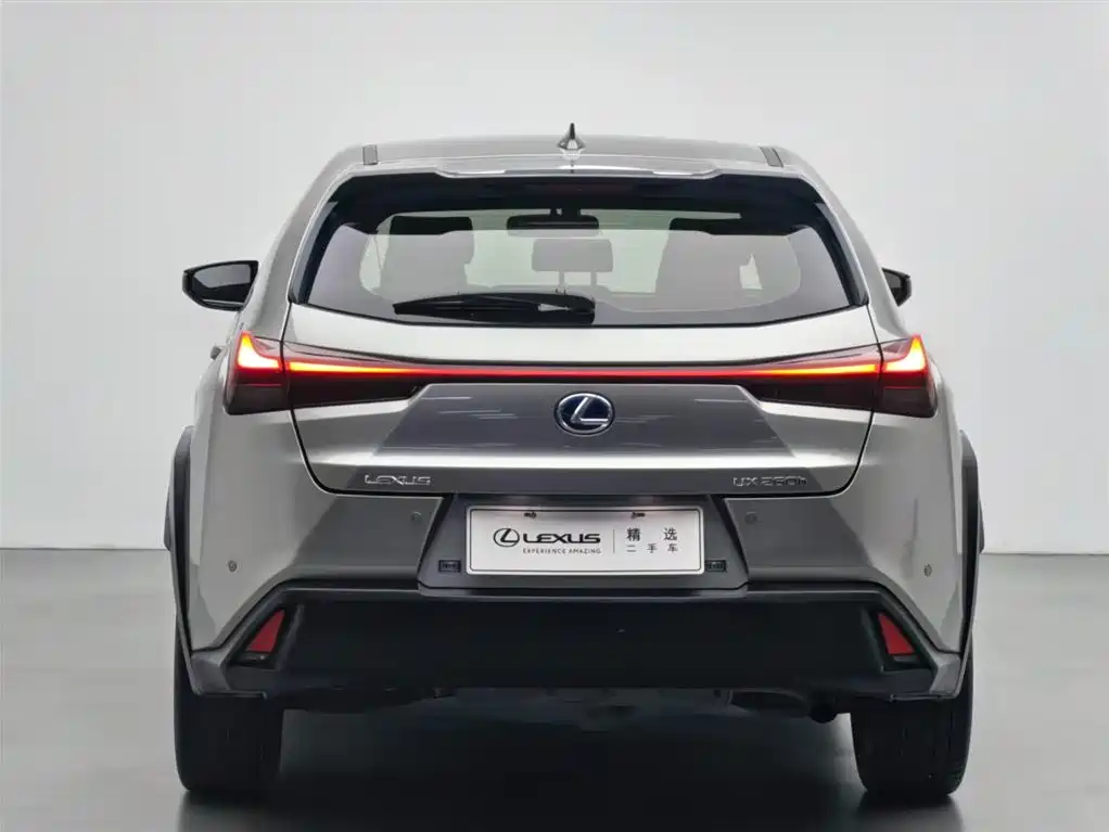 Lexus UX 2020 — фото 17