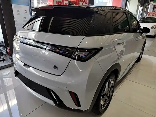 BYD Dolphin 2021