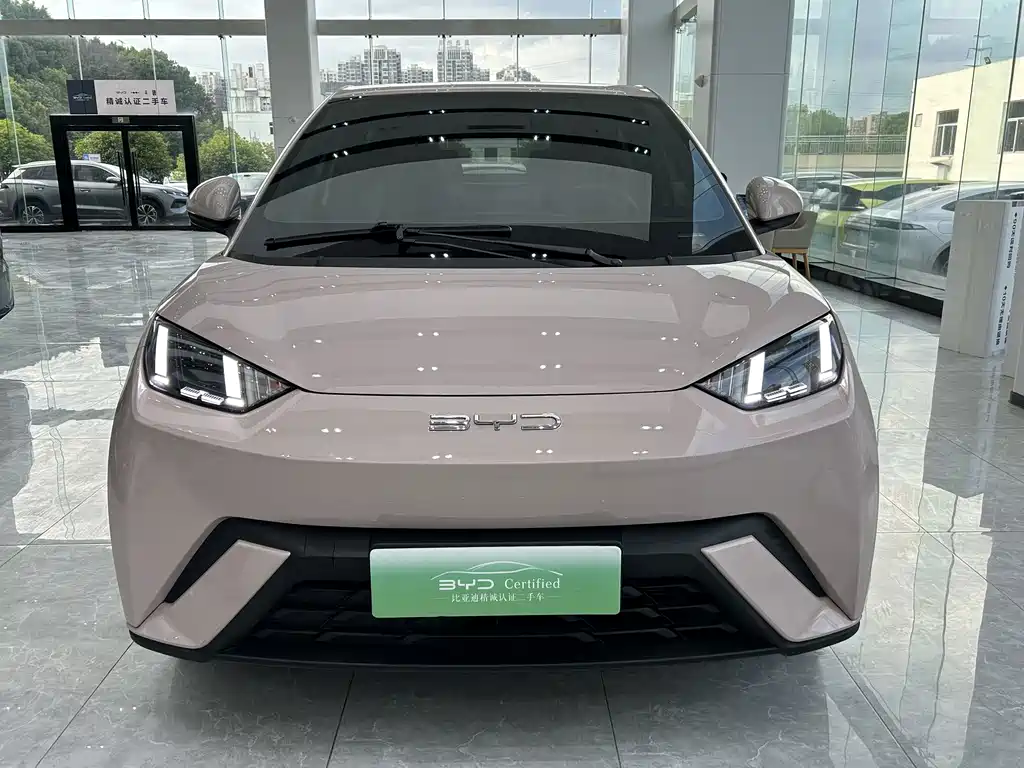 BYD Seagull 2024