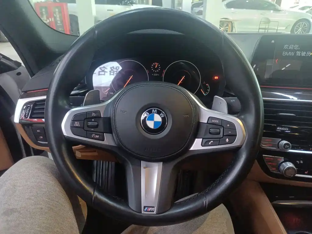 BMW 5 Series 2019
