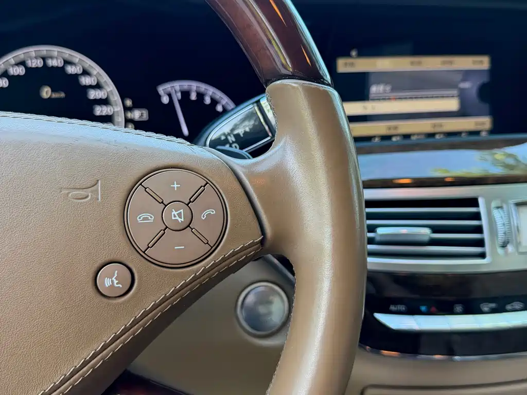 Mercedes-Benz S-Class 2010 — фото 15