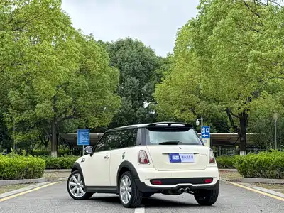 MINI MINI 2010