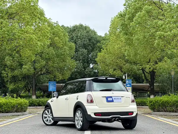 MINI 2010
