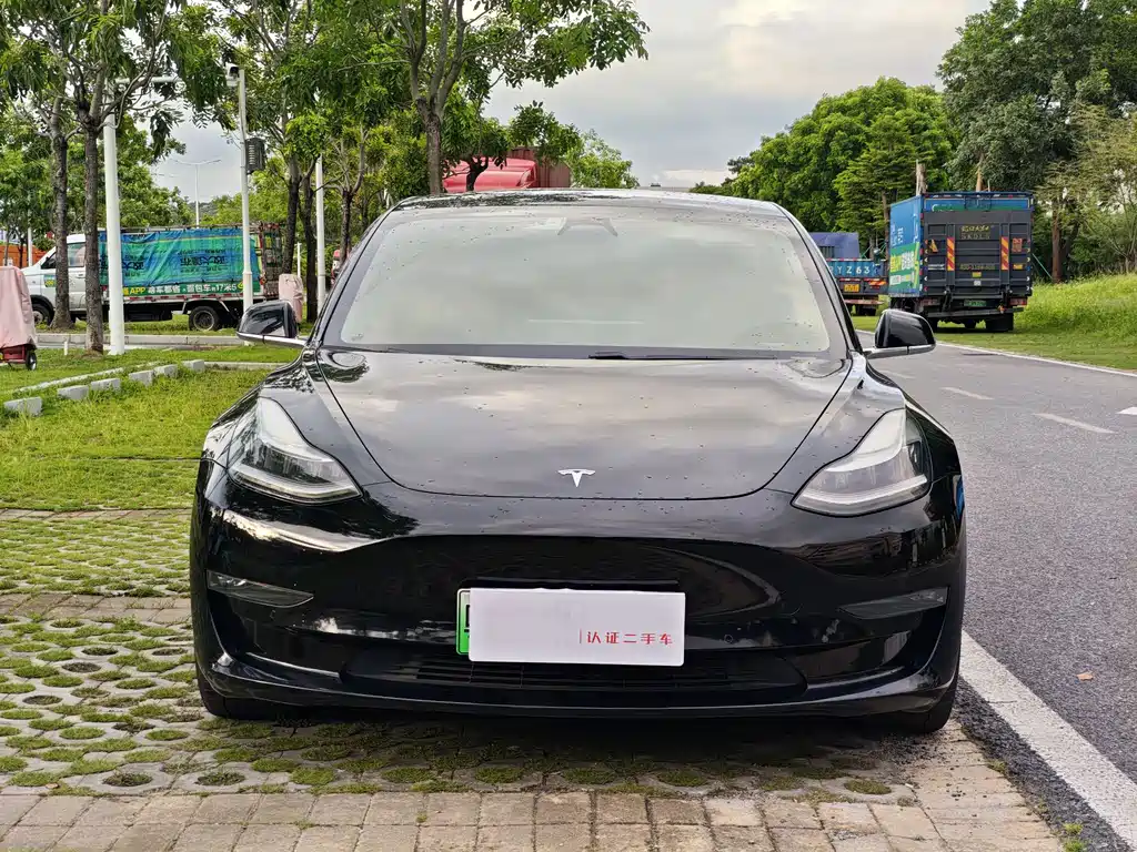 Tesla Model 3 2019