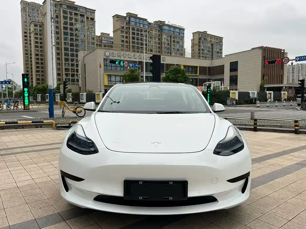 Tesla Model 3 2021 — фото 2