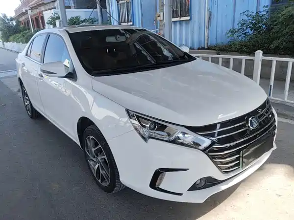BYD Qin NEV 2019