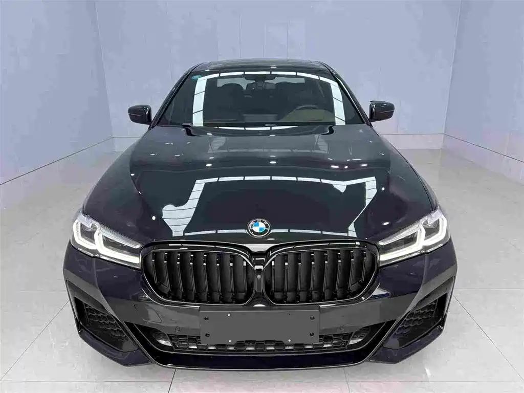 BMW 5 Series 2019 — фото 2