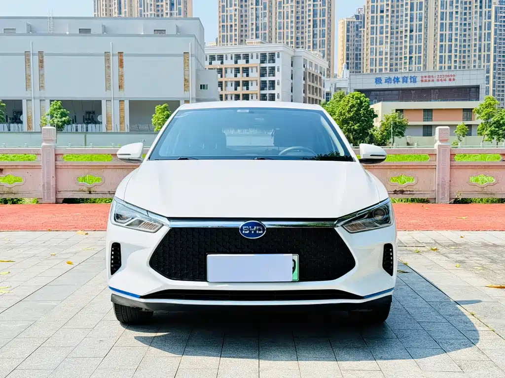 BYD e2 2021