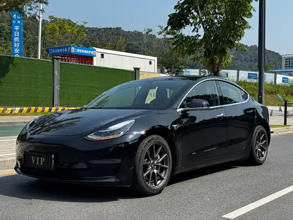 Tesla Model 3 2019
