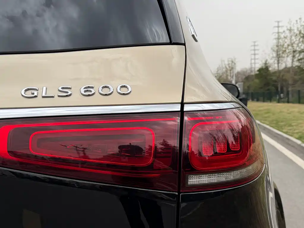 Mercedes-Benz GLS 2022 — фото 21