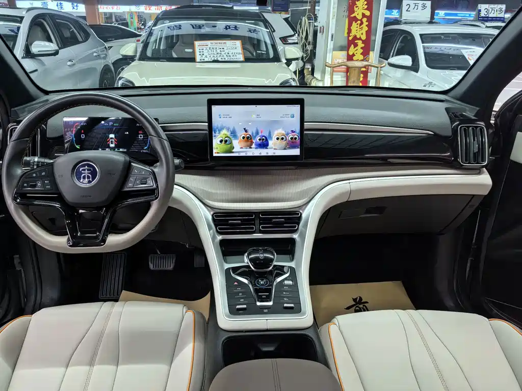 BYD Song Pro New Energy 2024 — фото 8
