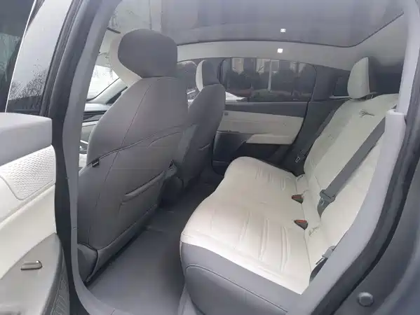 Dongfeng e007 2024