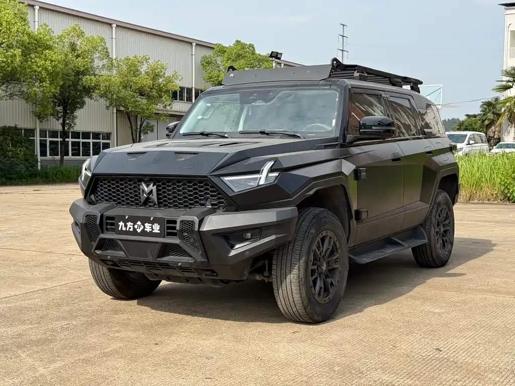 Mengshi 917 2024