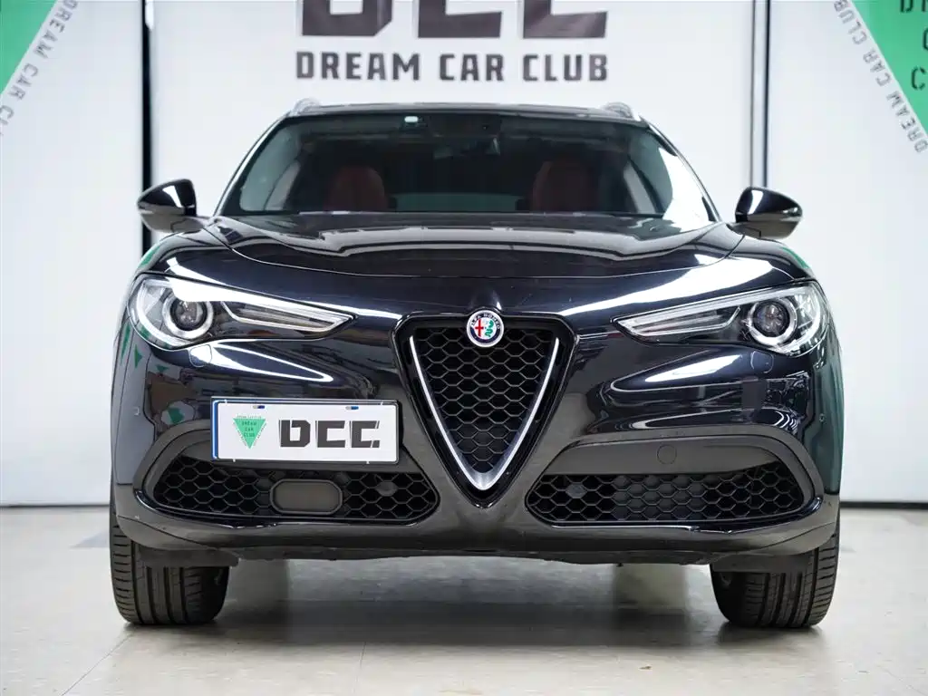 Alfa Romeo Stelvio 2018 — фото 16