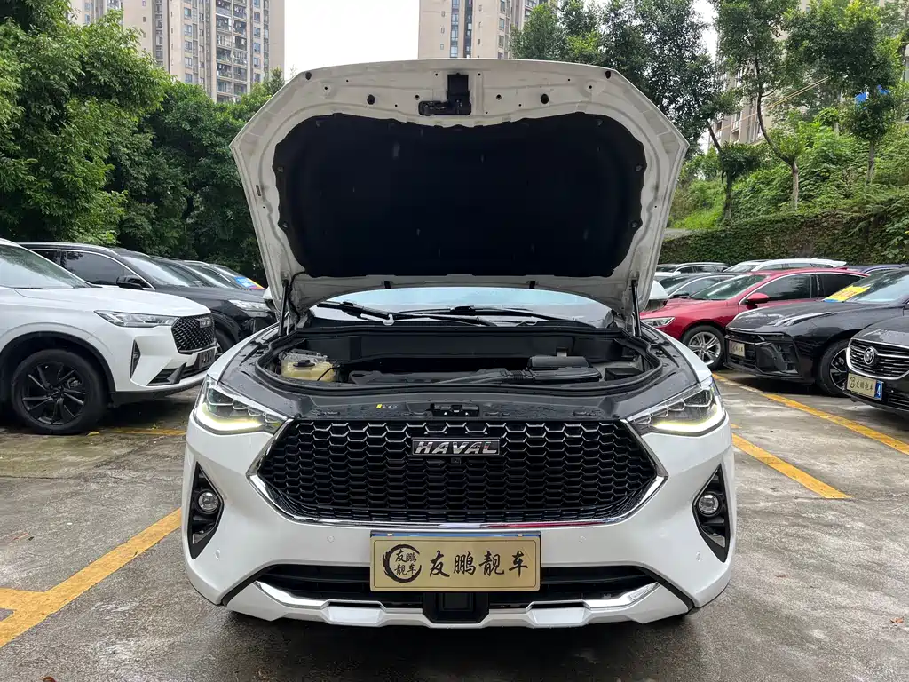Haval F7 2019 — фото 4