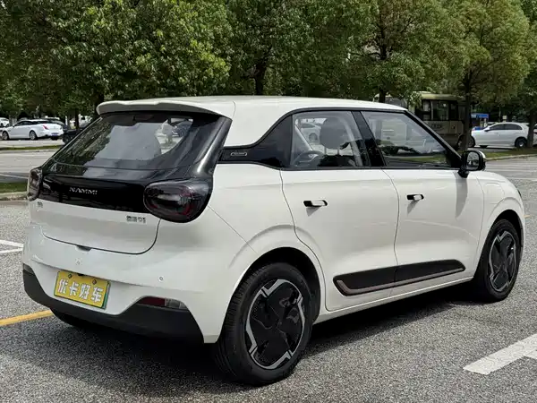 Dongfeng Nano 01 2025