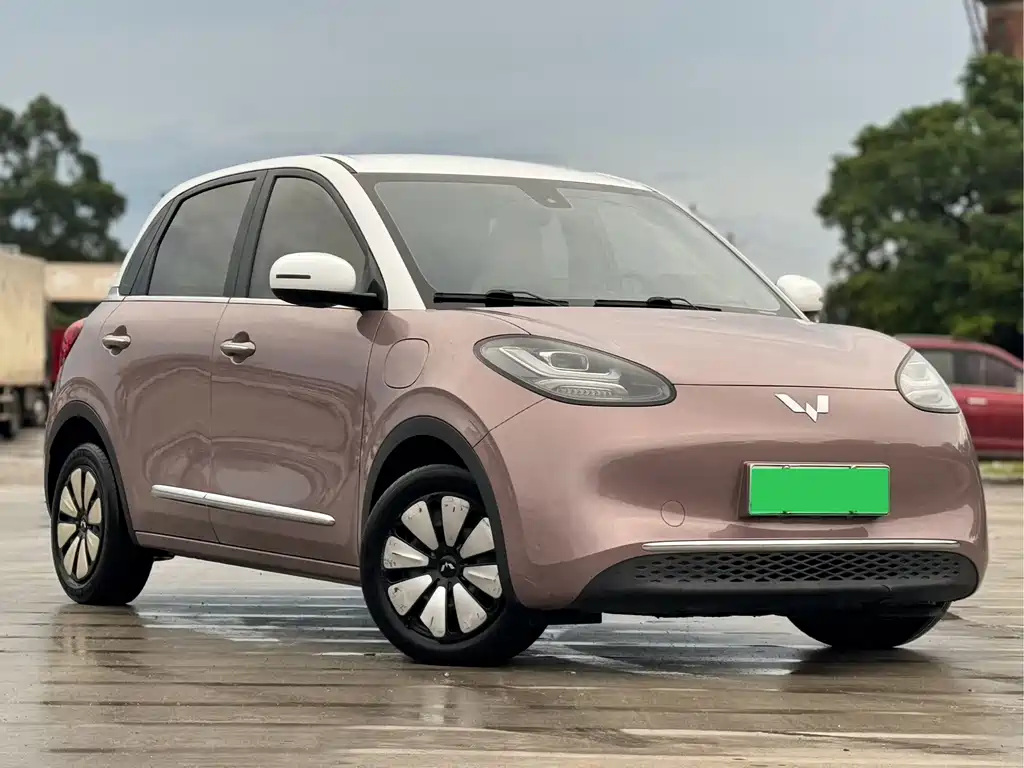 Wuling Bingo 2024
