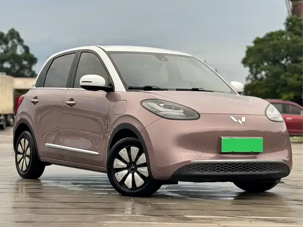 Wuling Bingo 2024