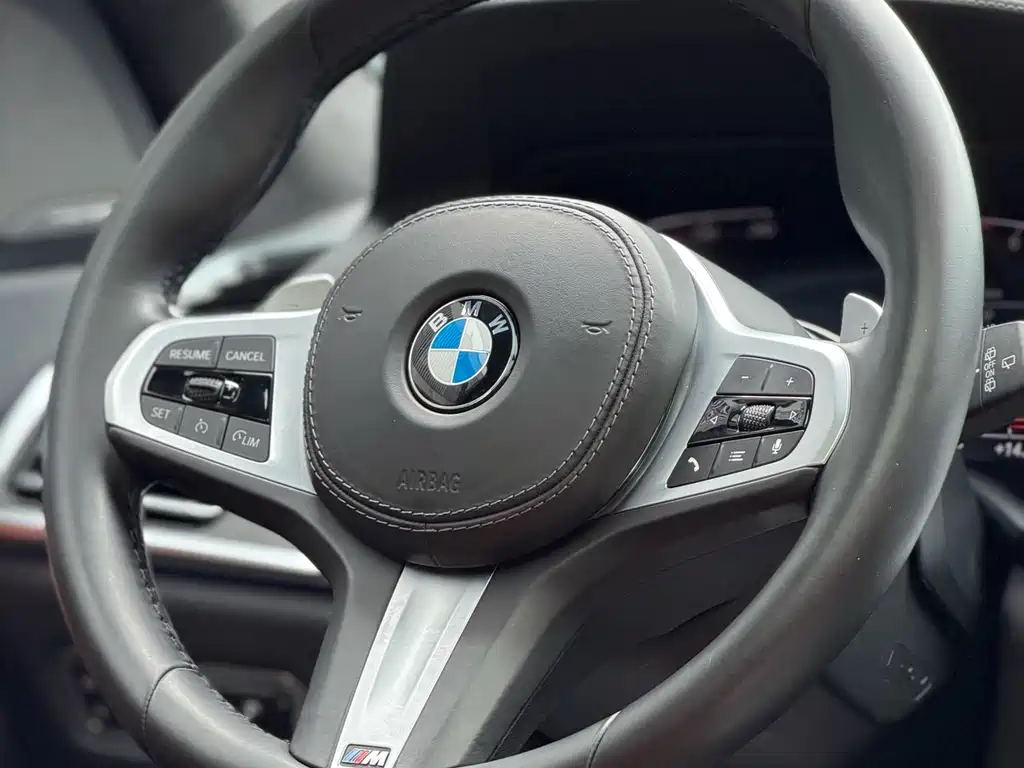 BMW X7 2021 — фото 16