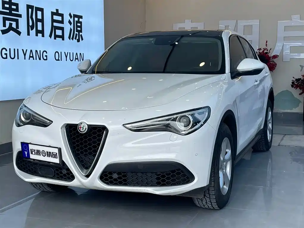 Alfa Romeo Stelvio 2019 — фото 1